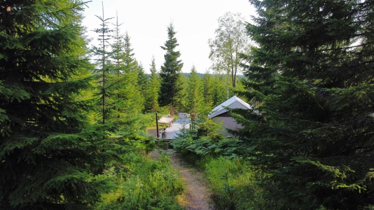 Glamping Tent With Amazing View In The Forest Torsby Exterior photo