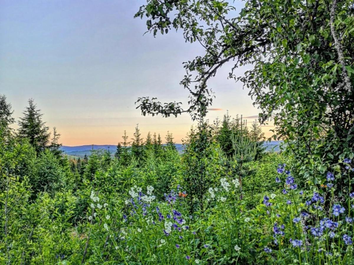Glamping Tent With Amazing View In The Forest Torsby Exterior photo