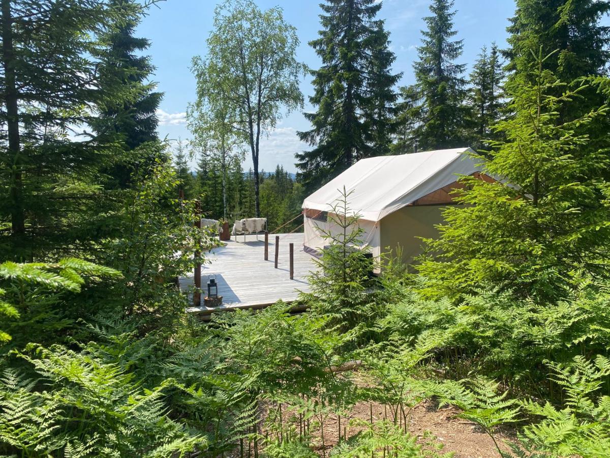 Glamping Tent With Amazing View In The Forest Torsby Exterior photo