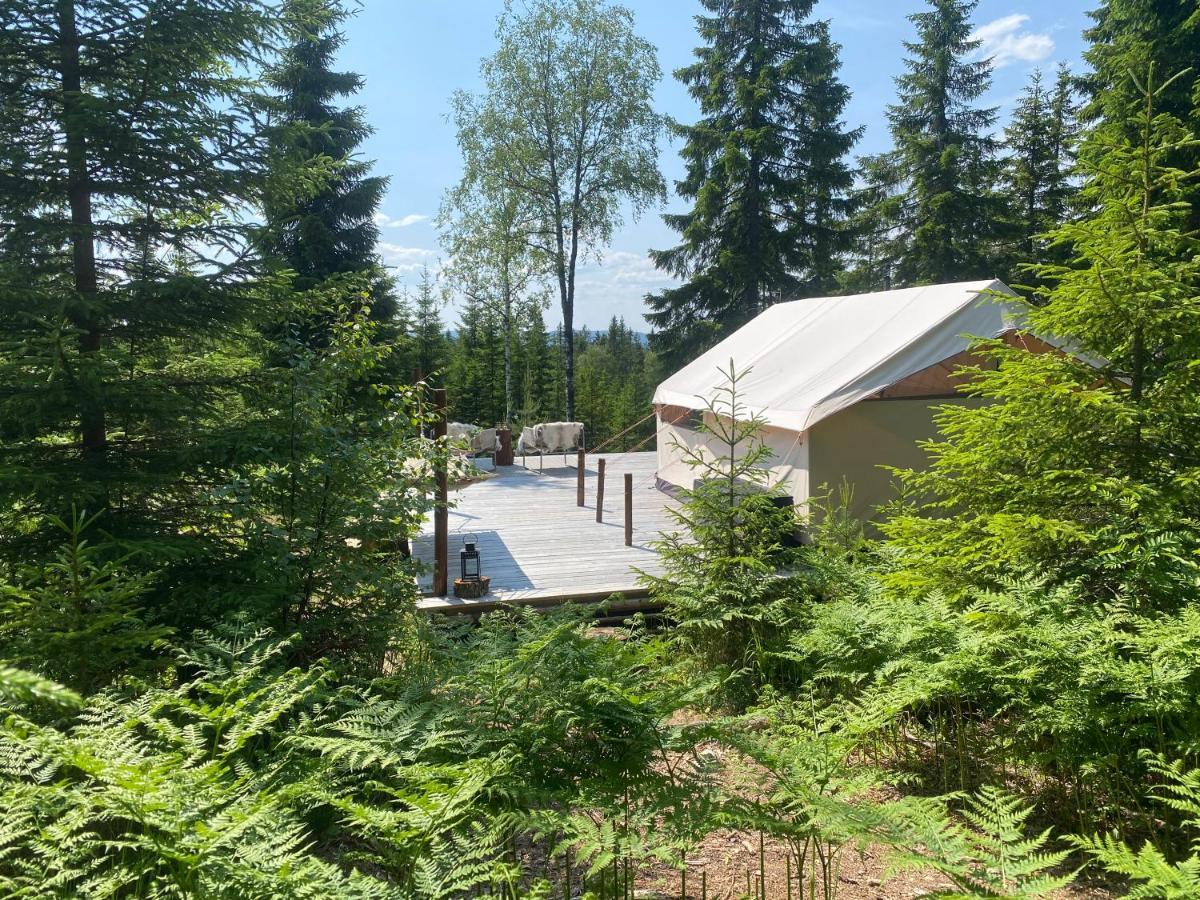 Glamping Tent With Amazing View In The Forest Torsby Exterior photo